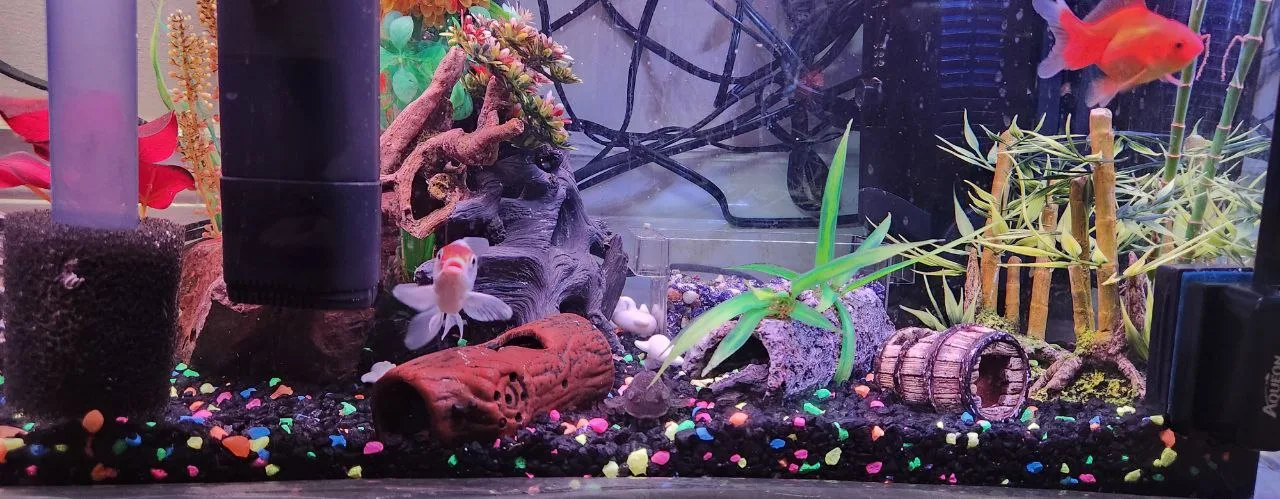 26 Gallons Aquarium thumbnail