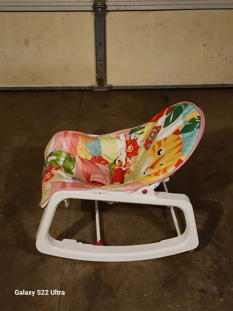 Fisher-Price Infant-To-Toddler Rocker - photo 3