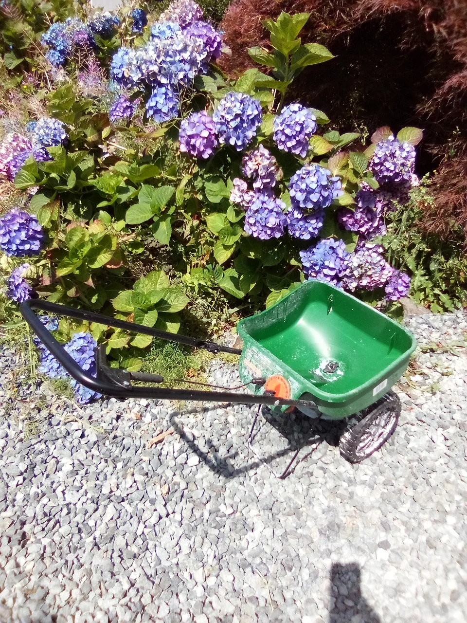 Scotts Turf Builder EdgeGuard Broadcast Spreader thumbnail