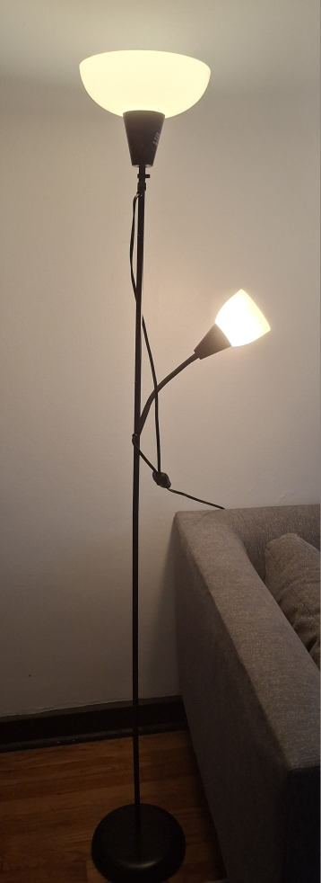 Black Floor Lamp with Reading Light