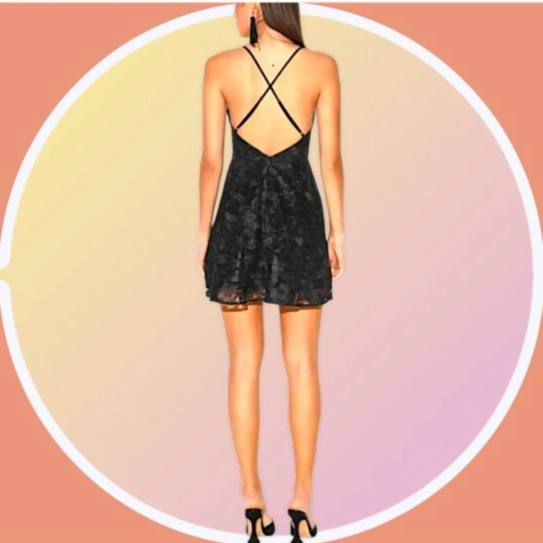 NWOT XL Prom, Party, Cocktail Lulu's Floral Skater Mini Dress image indicator(3)