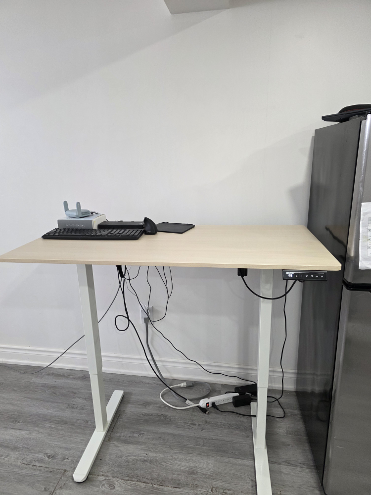 Adjustable Standing Desk - photo 5