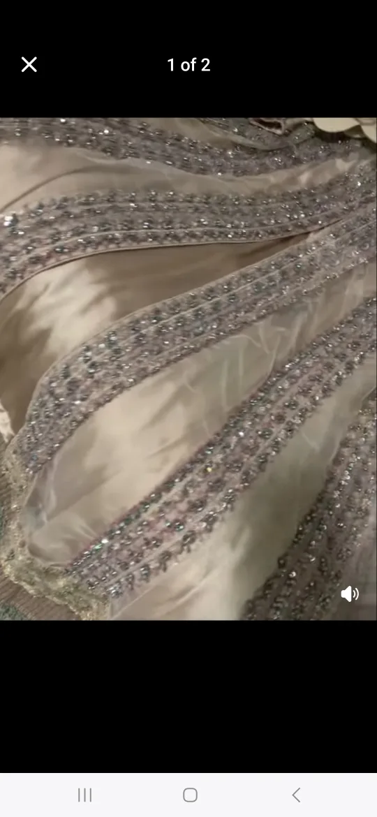 Gorgeous Embellished Formal Partywear image indicator(2)