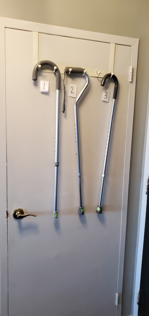Walking Sticks and White Cane - photo 2