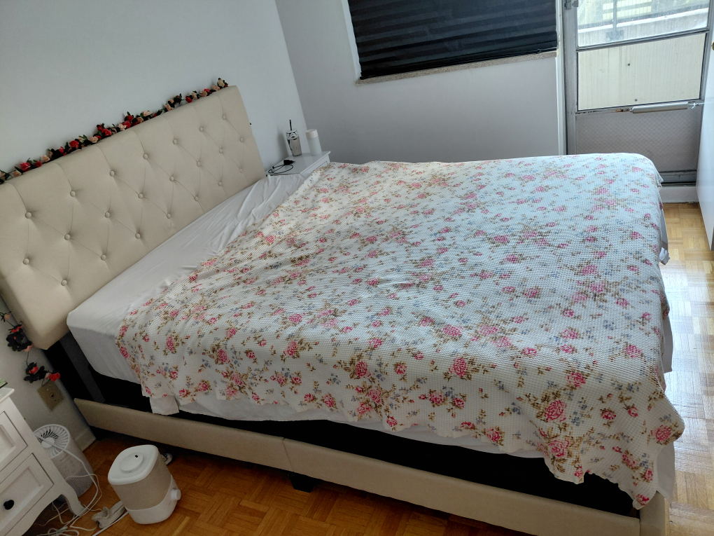Beige Queen Bed frame + spring box - photo 2