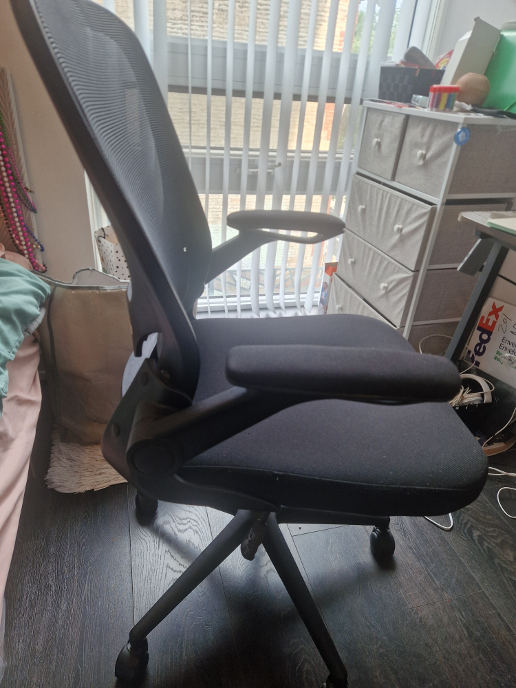 Ergonomic Mesh Office Chair - Black - photo 2