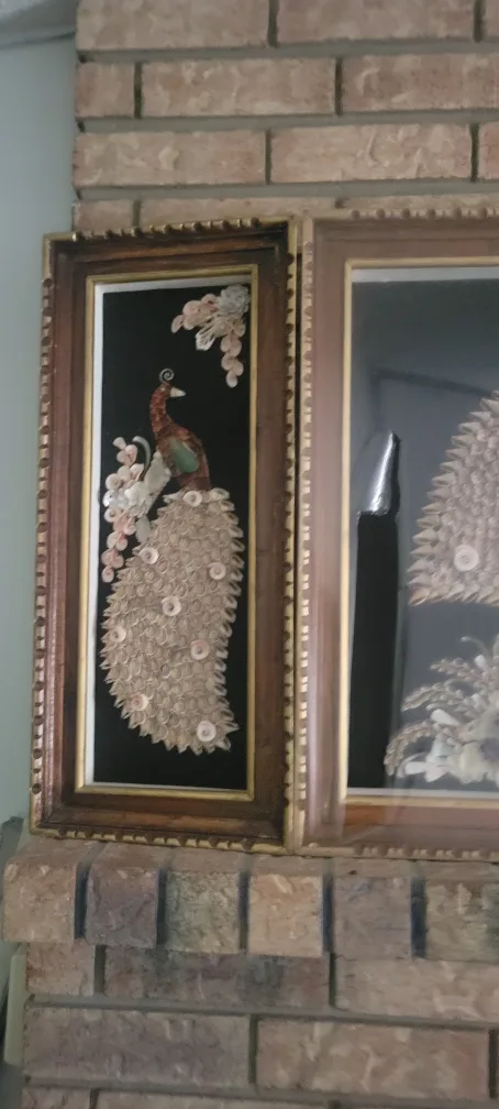 Vintage Peacock Shell Art Picture Frames (Set of 3) image indicator(2)