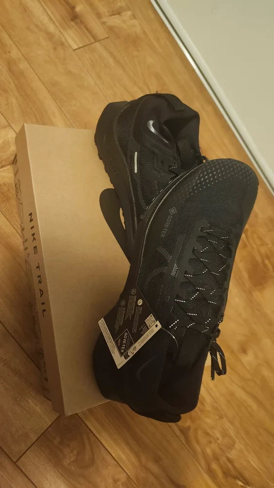 Nike React Pegasus Trail 4 GORE-TEX Black