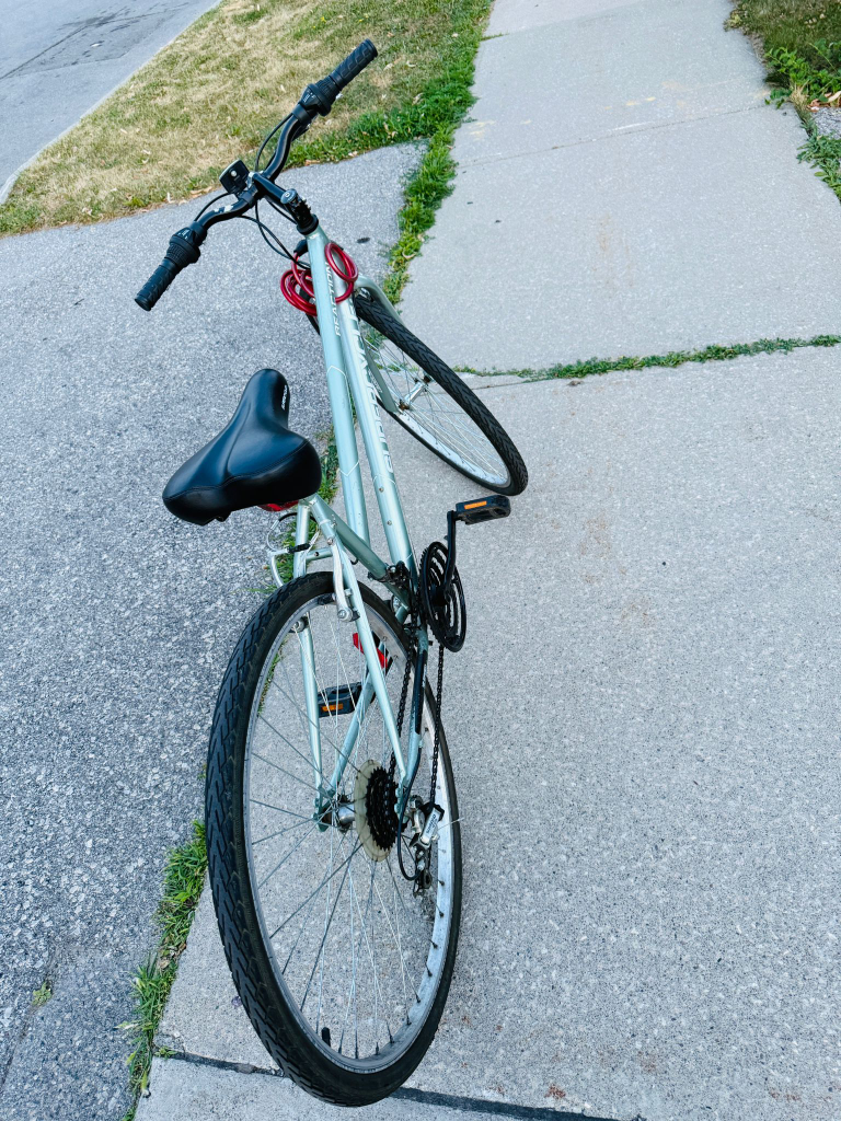 Supercycle Comfort Bicycle - Silver