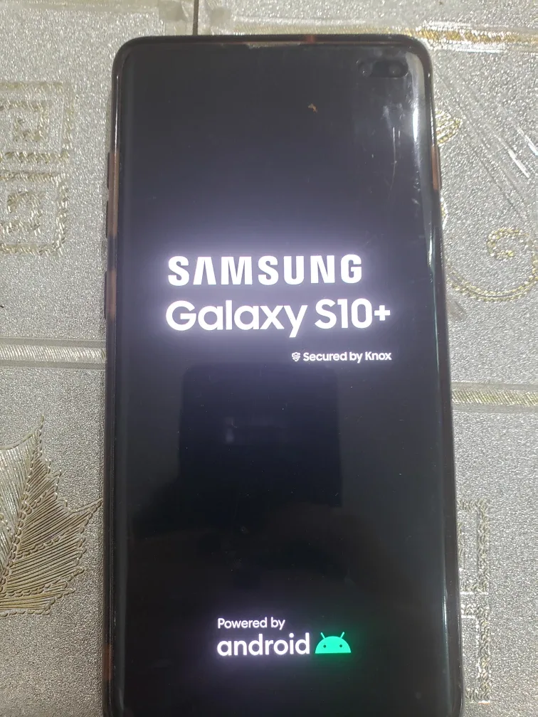Samsung Galaxy S10+ image indicator(2)