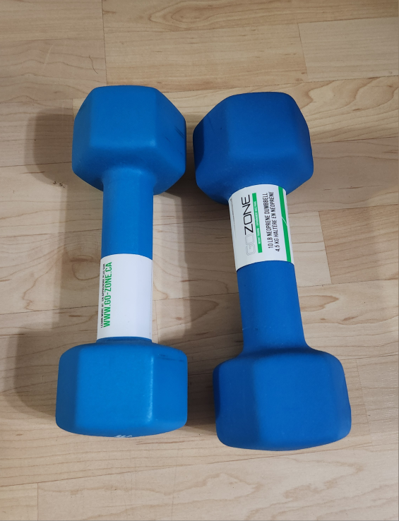 GOZONE 4.5 kg Dumbbells - Pair
