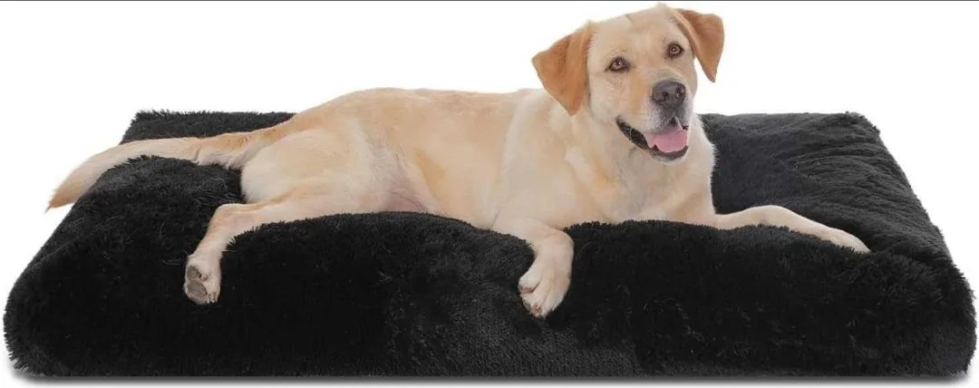 Bedfolk Large Pet Bed - NEW!!! thumbnail