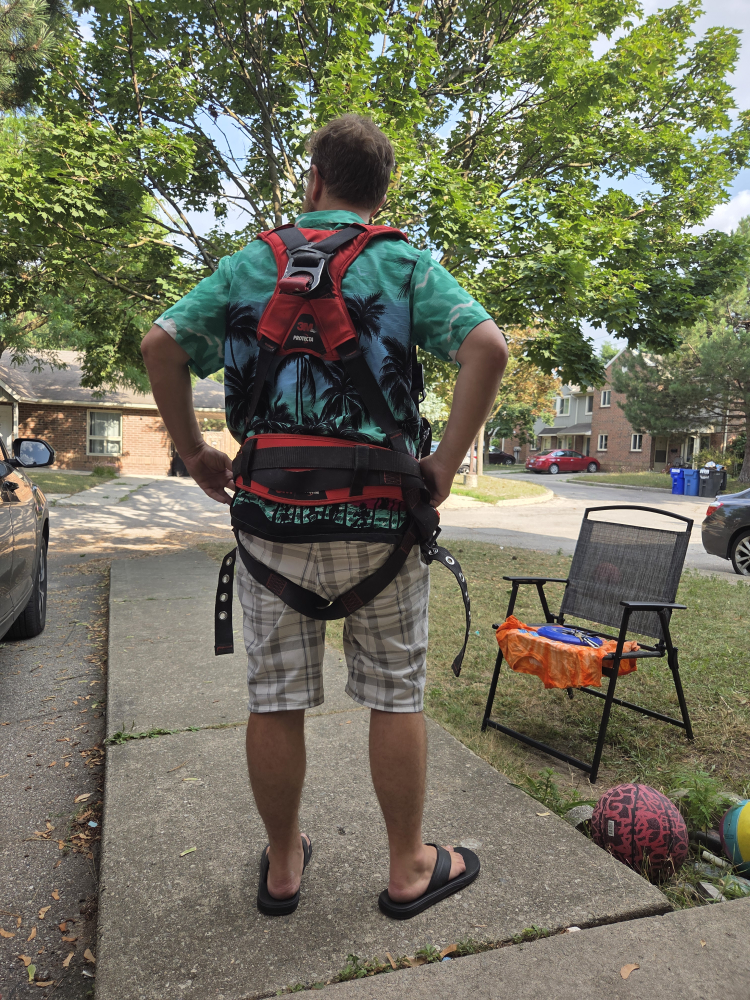 3M Protecta Fall Arrest Harness - photo 3