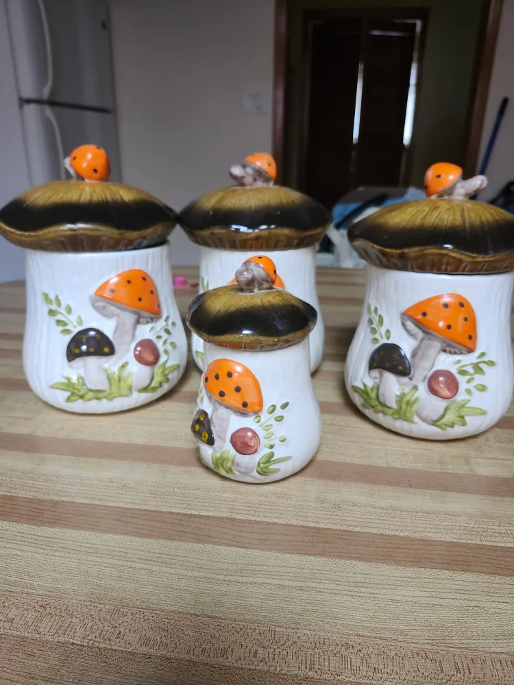 Vintage Merry Mushroom Canister Set from Sears and Roebuck 1970s thumbnail