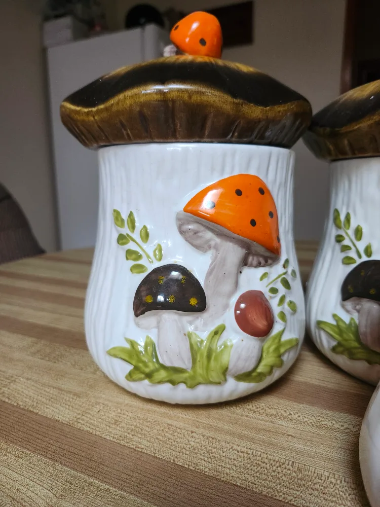 Vintage Merry Mushroom Canister Set from Sears and Roebuck 1970s image indicator(5)