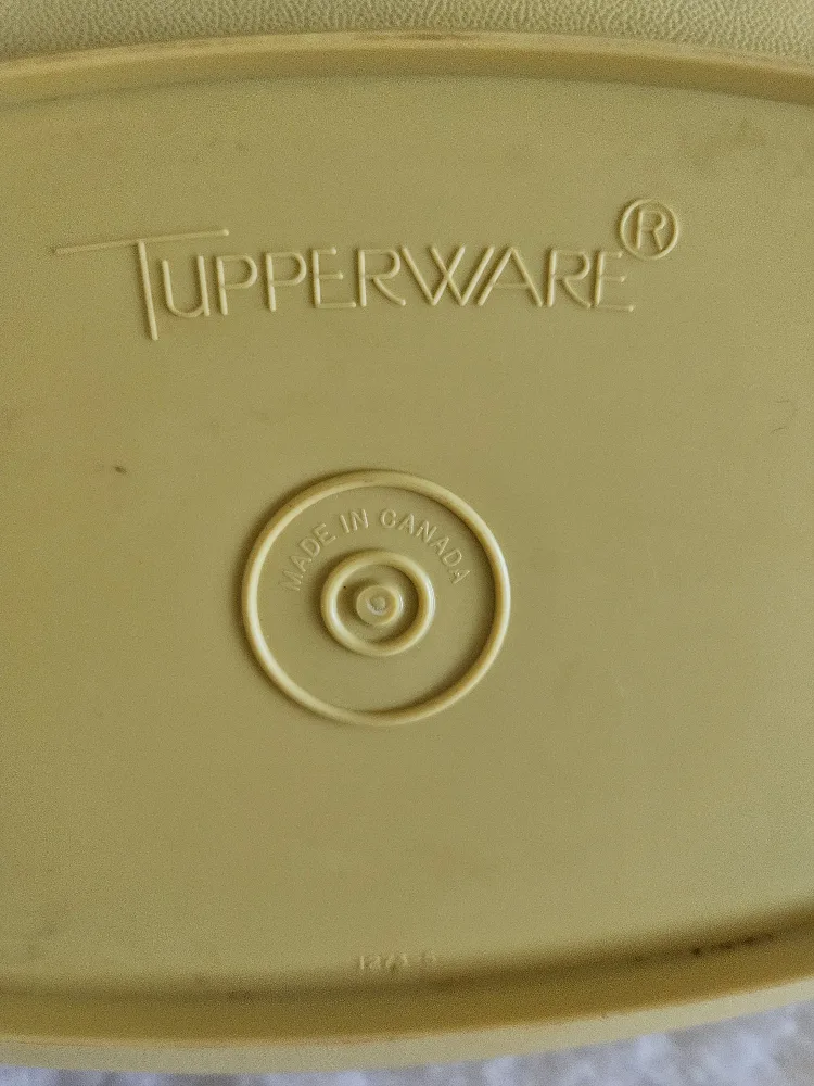 Vintage Tupperware Egg Tray & Metal Serving Tray image indicator(9)