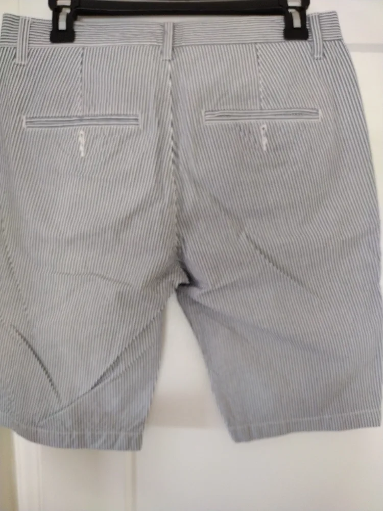 Striped Men's Shorts image indicator(2)