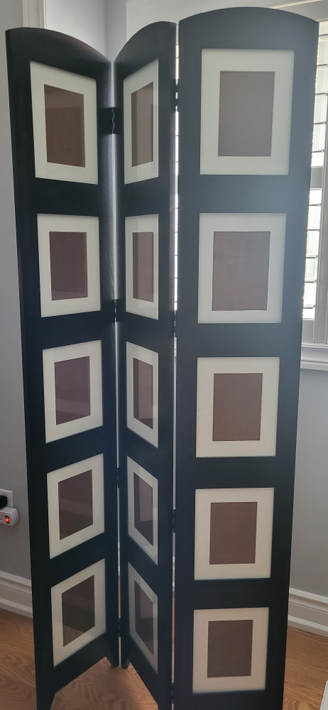 Black Tri-fold Photo Room Divider