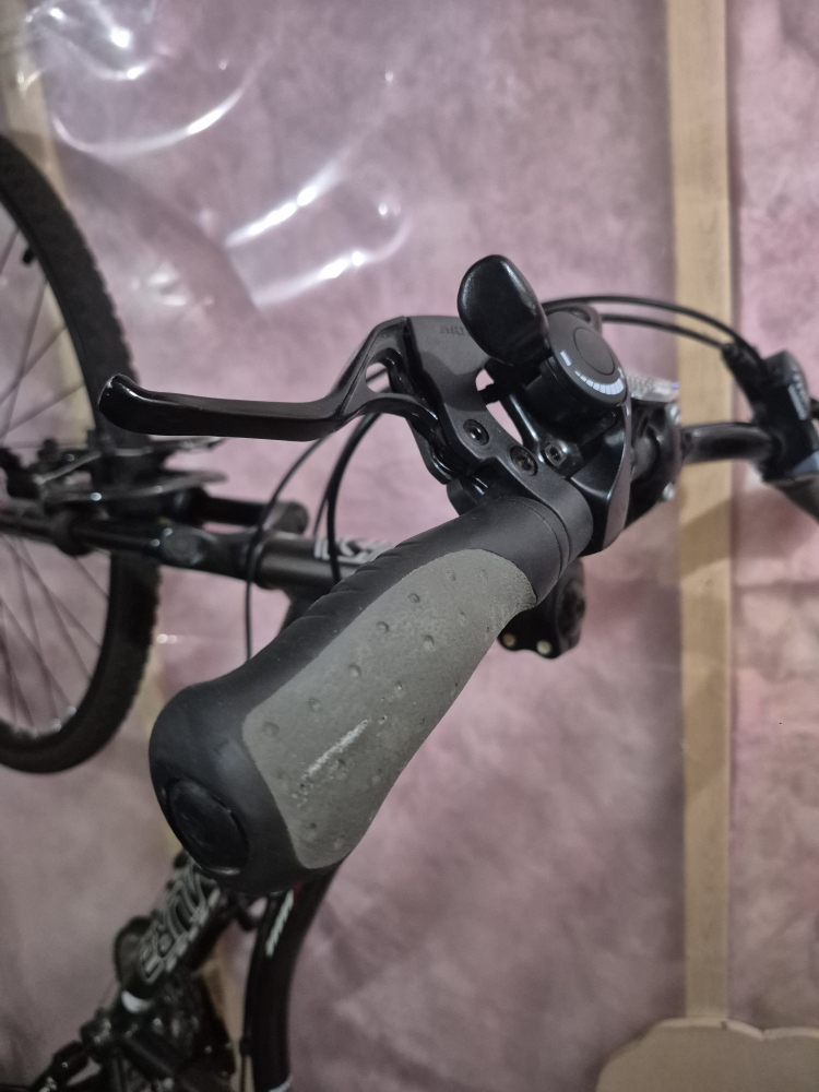 Ladies Nakamura Bike - Size M - photo 5