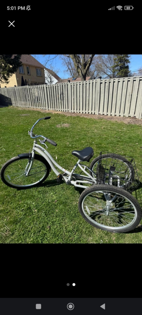 Silver Trike Express Adult Tricycle