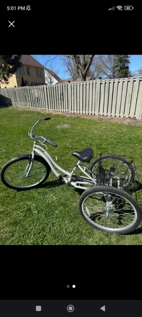 Silver Trike Express Adult Tricycle thumbnail