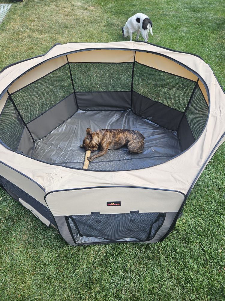 Aivituvin Pet Playpen - Indoor/Outdoor - photo 2