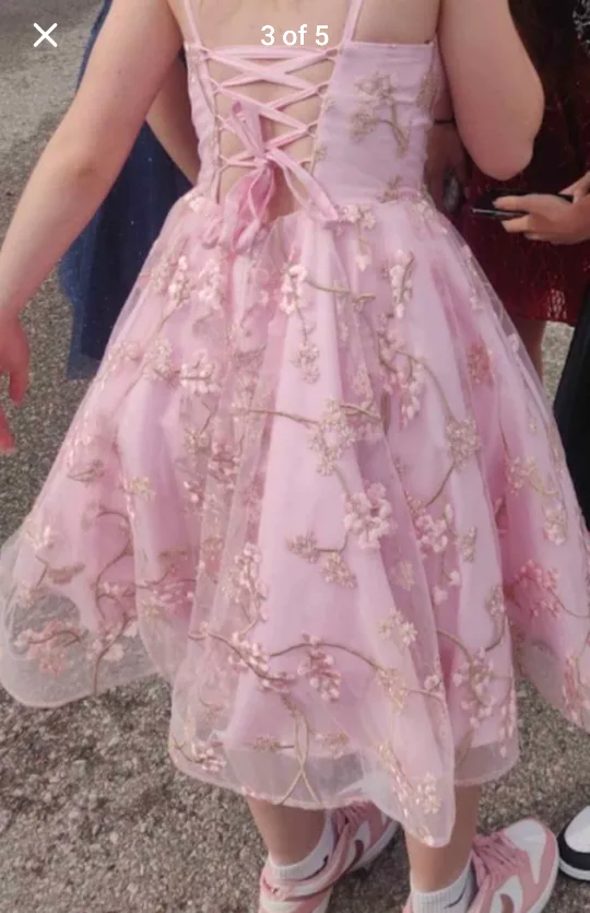 Pink Grad Dress (size 4) image indicator(3)