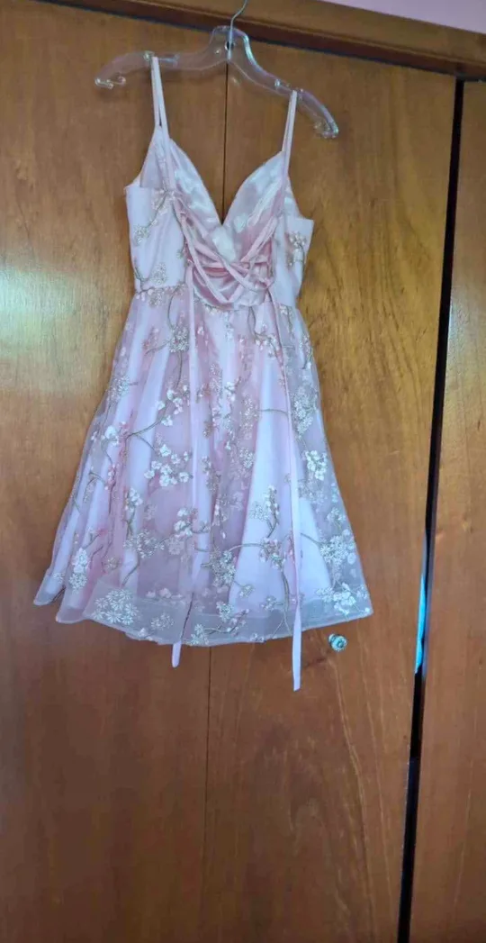 Pink Grad Dress (size 4) image indicator(4)