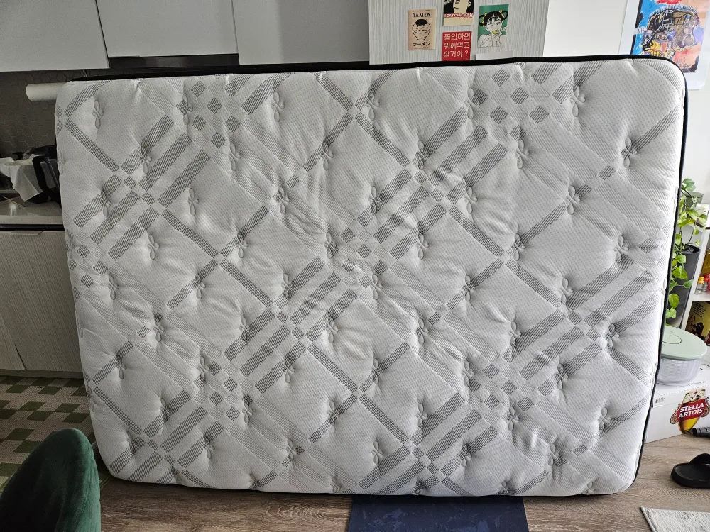 Queen Size Mattress #freecycle image indicator(2)