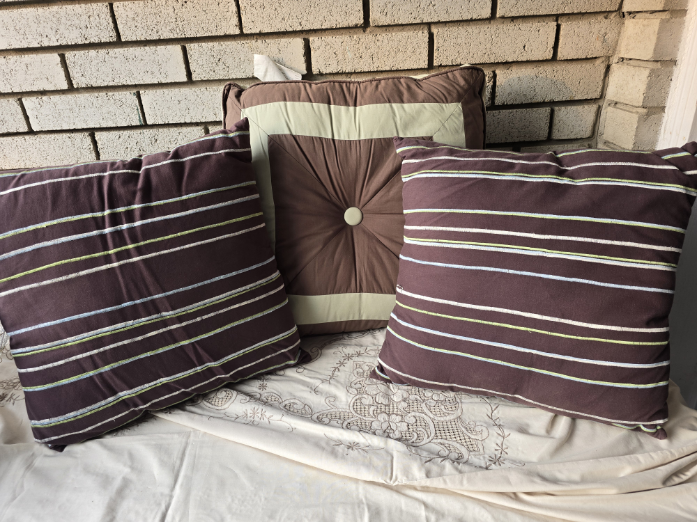 Throw Pillows - Set of 3