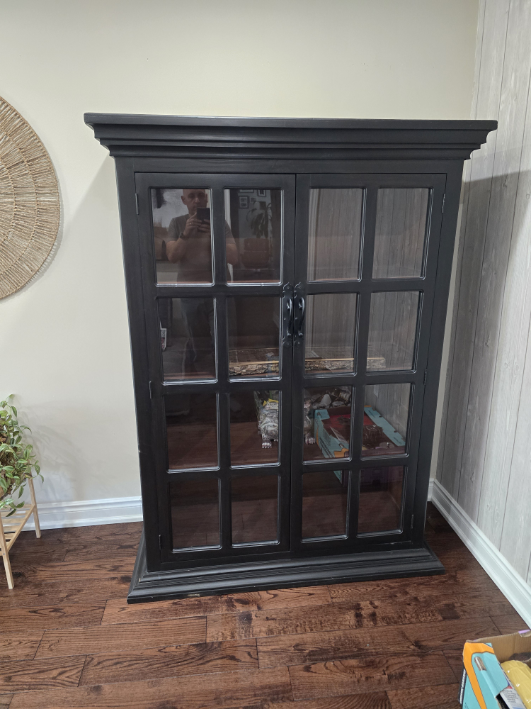 Black Display Cabinet with Glass Doors