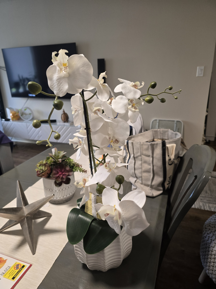 White Artificial Orchid Plant, 22" Tall - photo 3