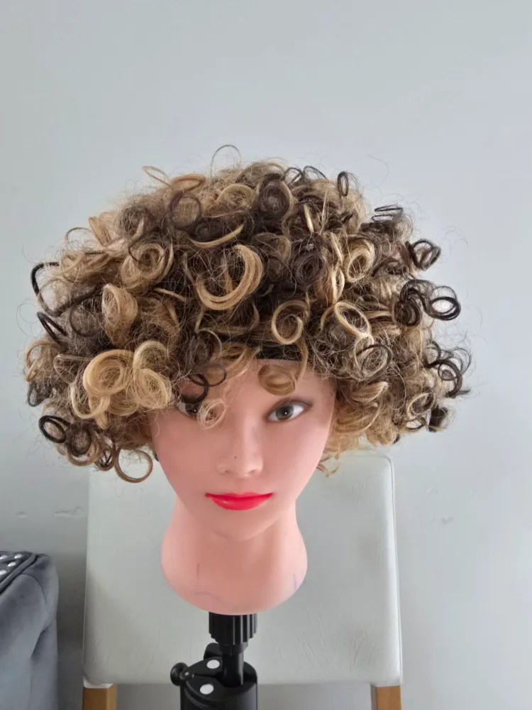 Curly Wig - Blonde & Brown thumbnail