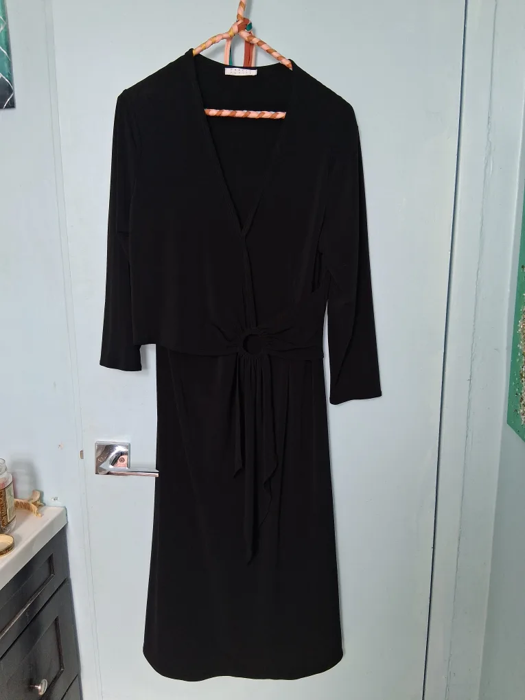 Precis Petite Black Dress - Size 14 thumbnail