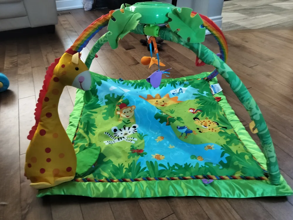 Fisher-Price Rainforest Gym thumbnail