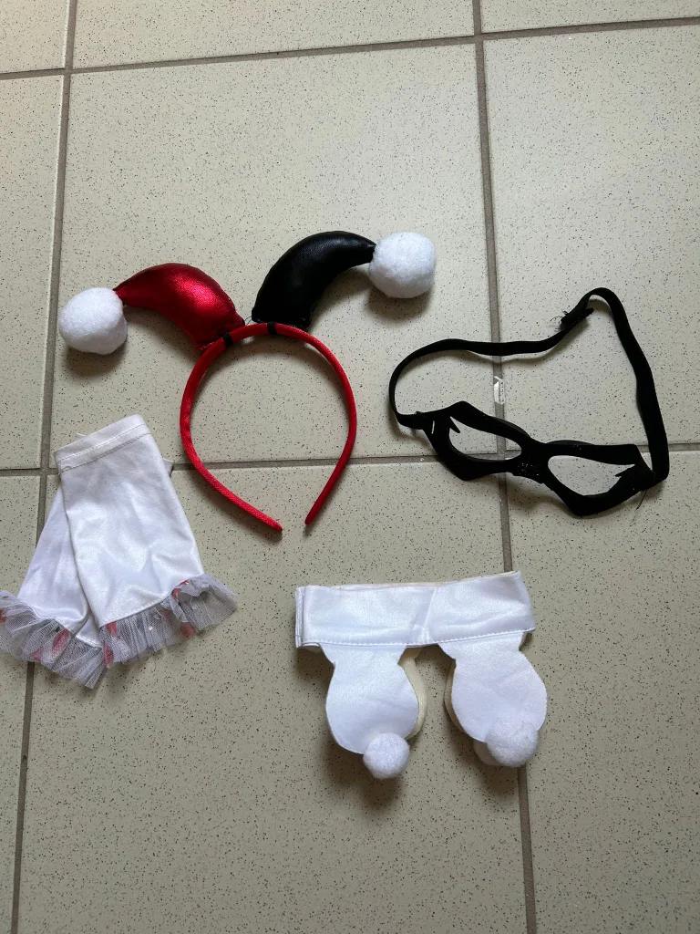 Harley Quinn Child Costume (Size 10-12) image indicator(3)