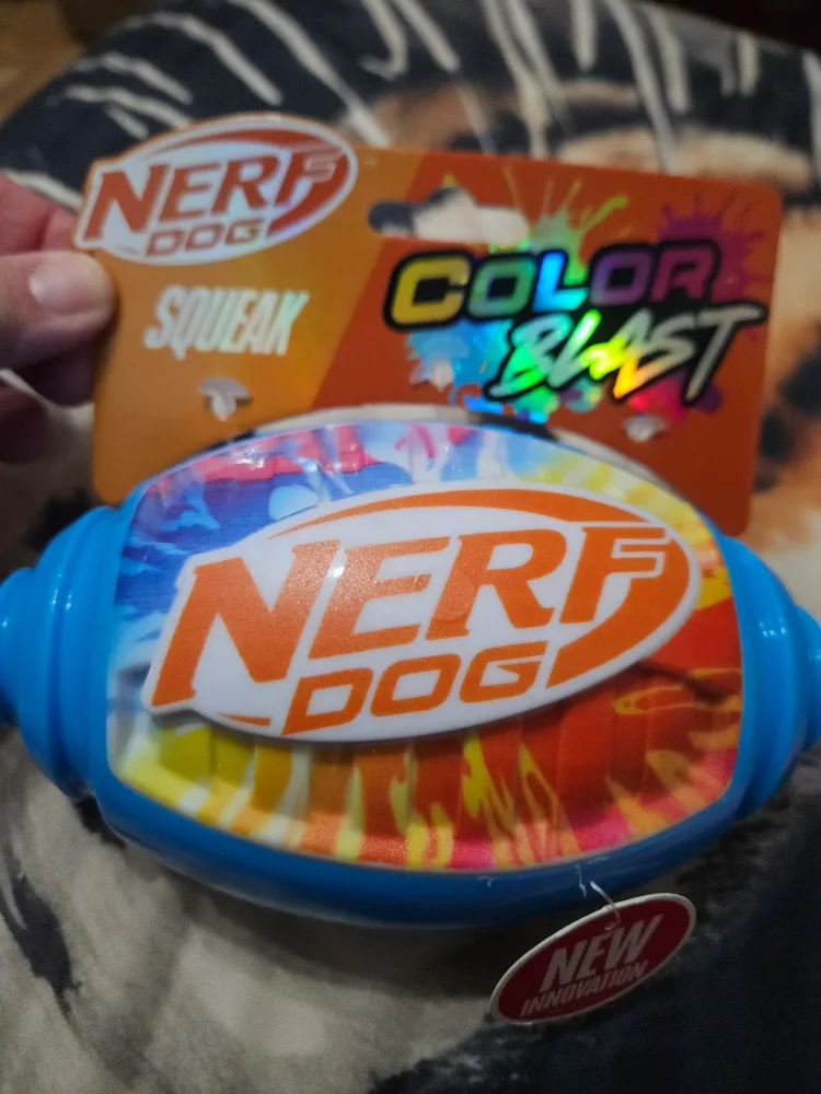New Nerf Dog Color Blast Squeak Football Toy thumbnail