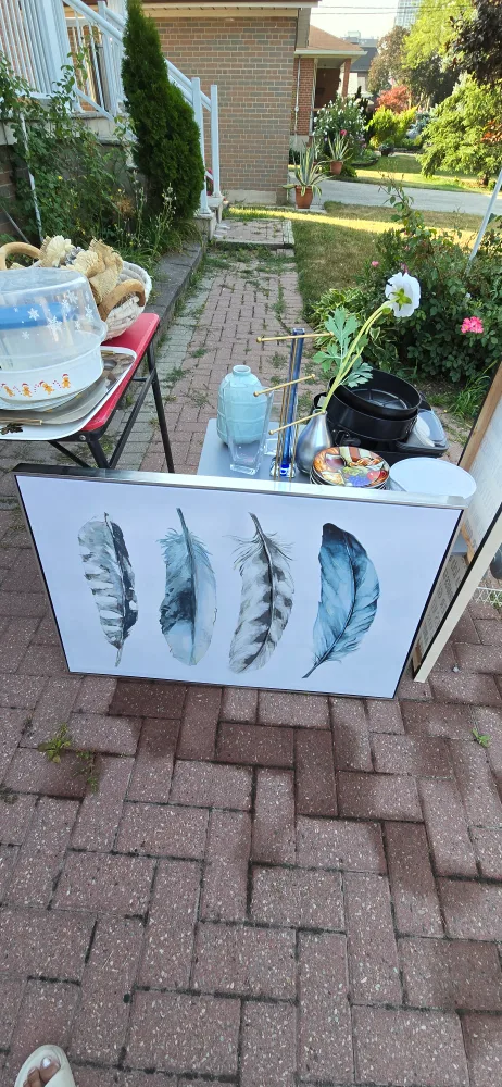Feather Print Wall Art thumbnail