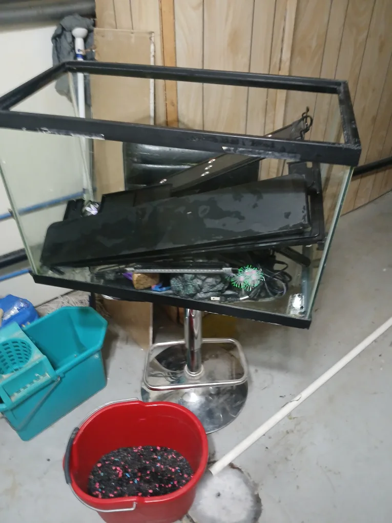 Used Fish Tank with Accessories