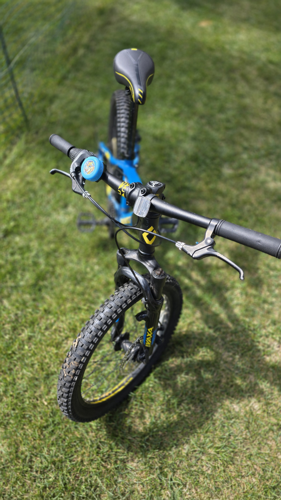 Diamondback Maya 20" Kids Bike - photo 3