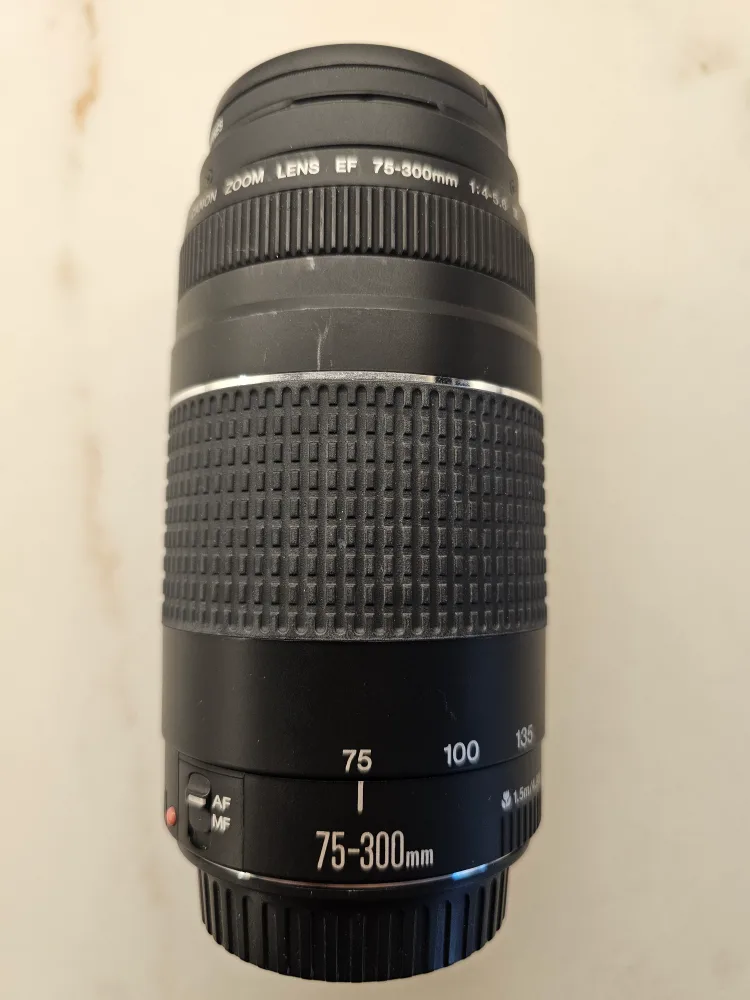 Canon EOS Rebel 2000 SLR camera body, plus 2 zoom lenses image indicator(4)