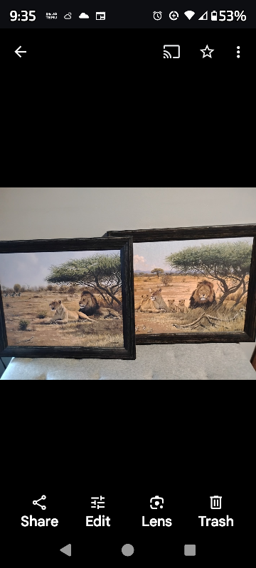 Framed Lion Family Prints - Set of 2