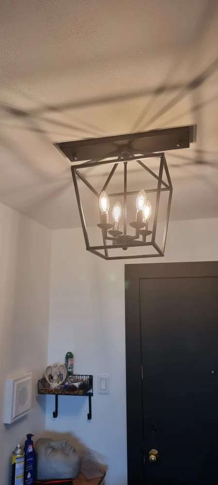 Black Metal Cage Ceiling Light Fixture image indicator(2)