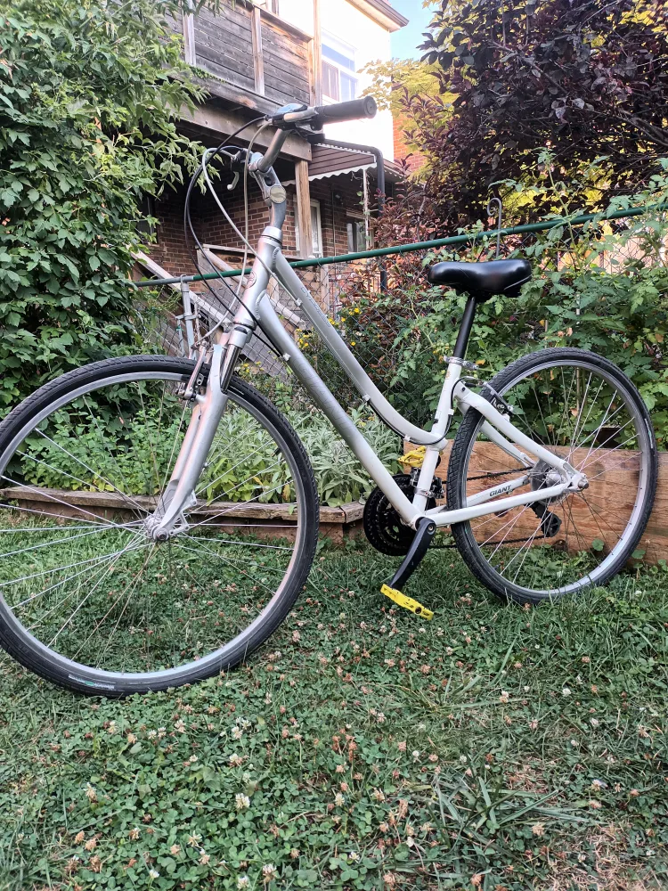 Giant Cypress Bike thumbnail
