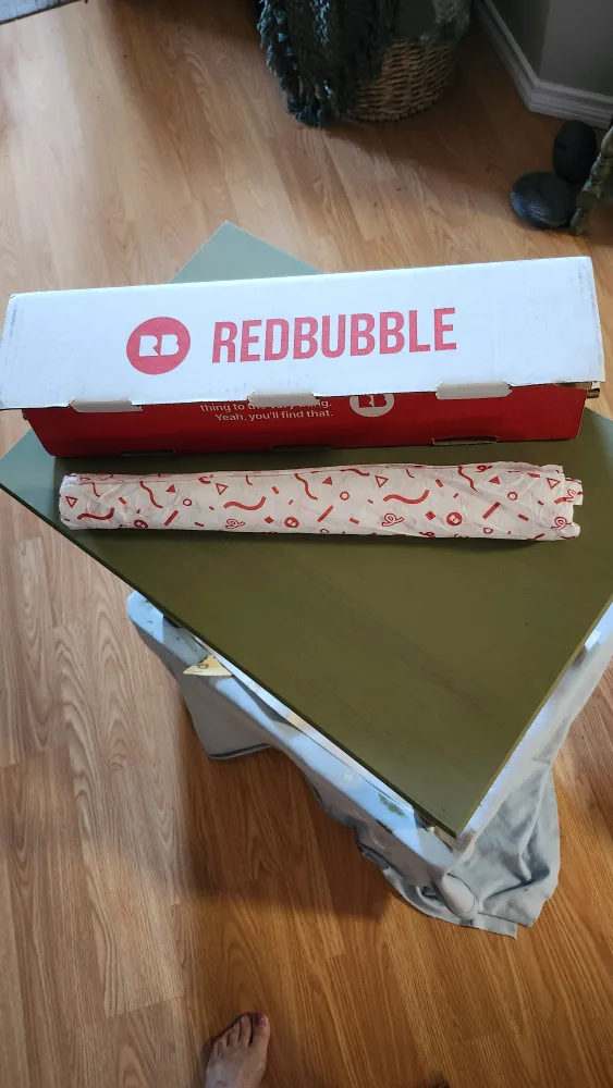 The Gothic in the Lands of the Indus Poster image indicator(2)