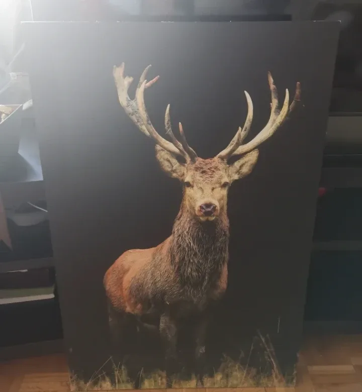 Deer Print Wall Art image indicator(3)