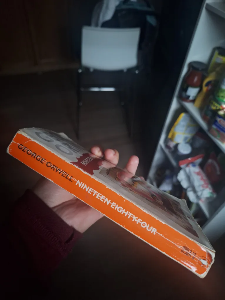 Nineteen Eighty-Four by George Orwell image indicator(2)