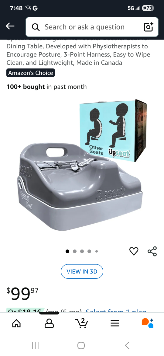 Toddler Booster Seat