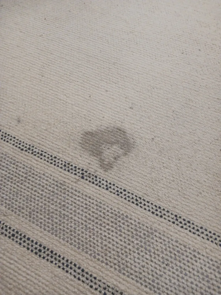 Area Rug w/ Fringe – Beige w/ Gray Stripes (Needs Cleaning) image indicator(5)