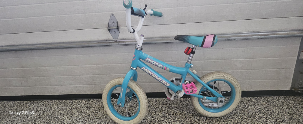 Nakamura Adventure Kids Bike & Ladybug Helmet